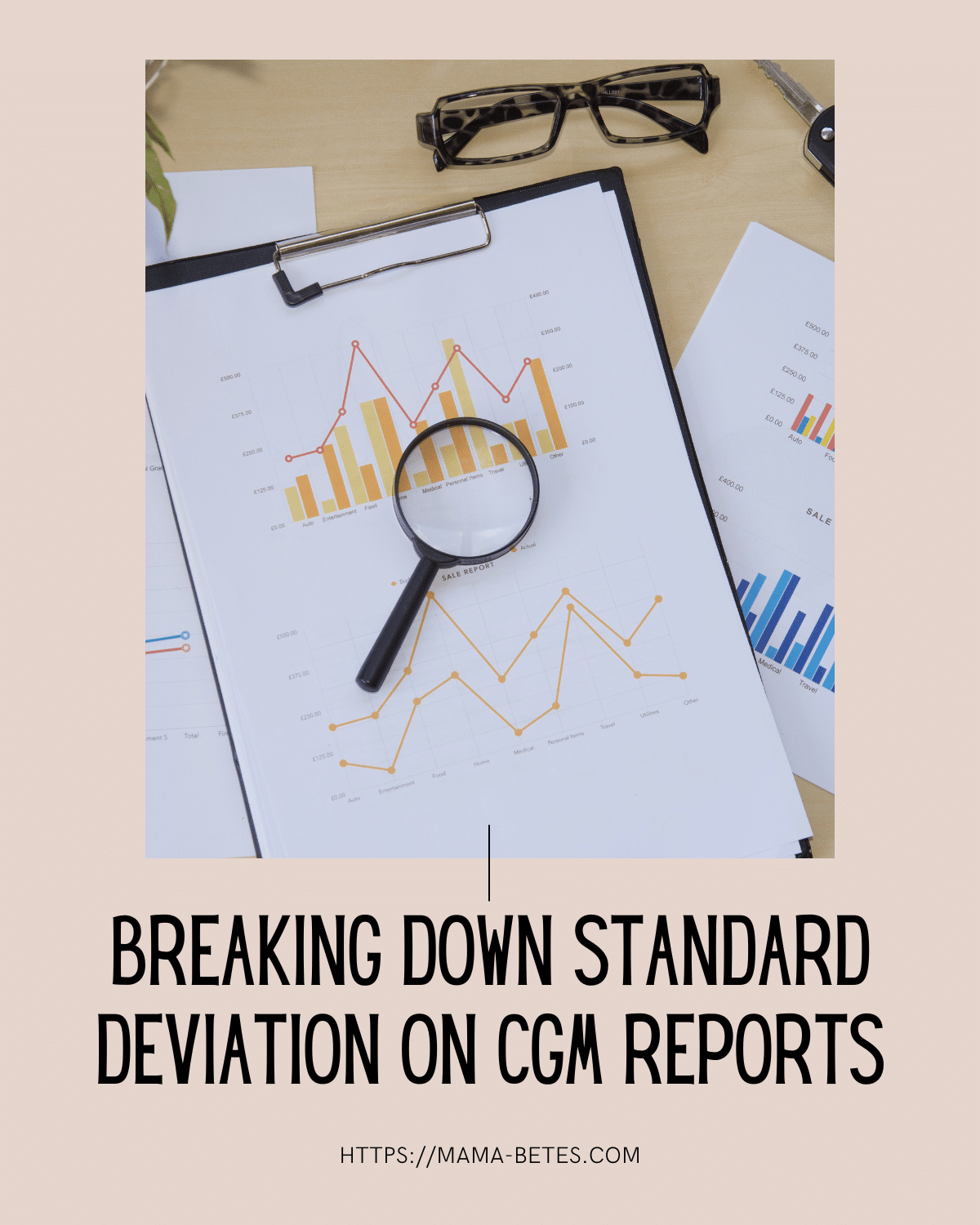 Featured image for blog post about Standard Deviation on CGM reports
